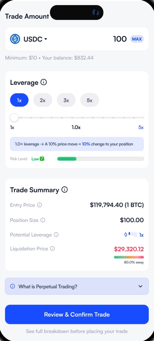 Trade page, lower half: leverage effect in plain words, risk level Low, trade summary with liquidation price 80% away